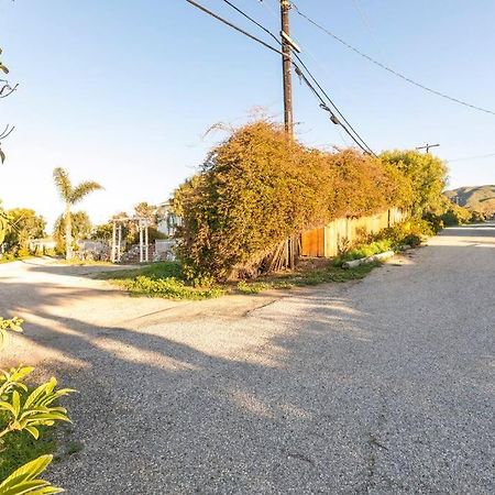 30 Pct Off!! Limited Time! Malibu Zen Guest Suite, Near Beach & Hiking Trails, Central Location Eksteriør billede